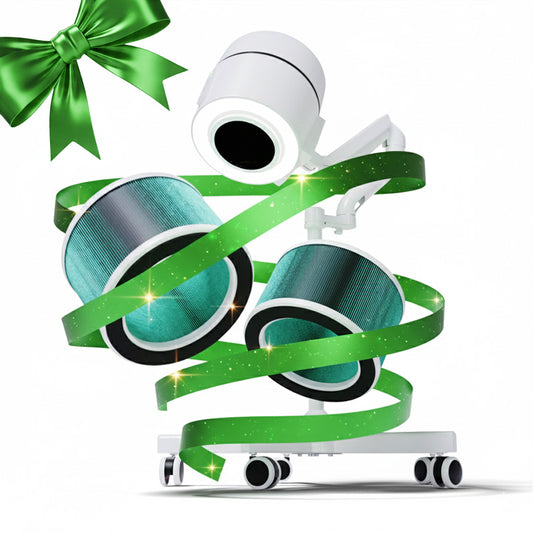 Paquete Maestro Navidad