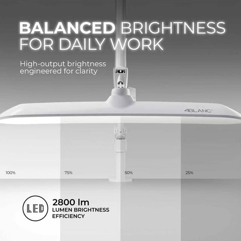 Penn™ Versatile Professional Eye-Caring  LED Lamp